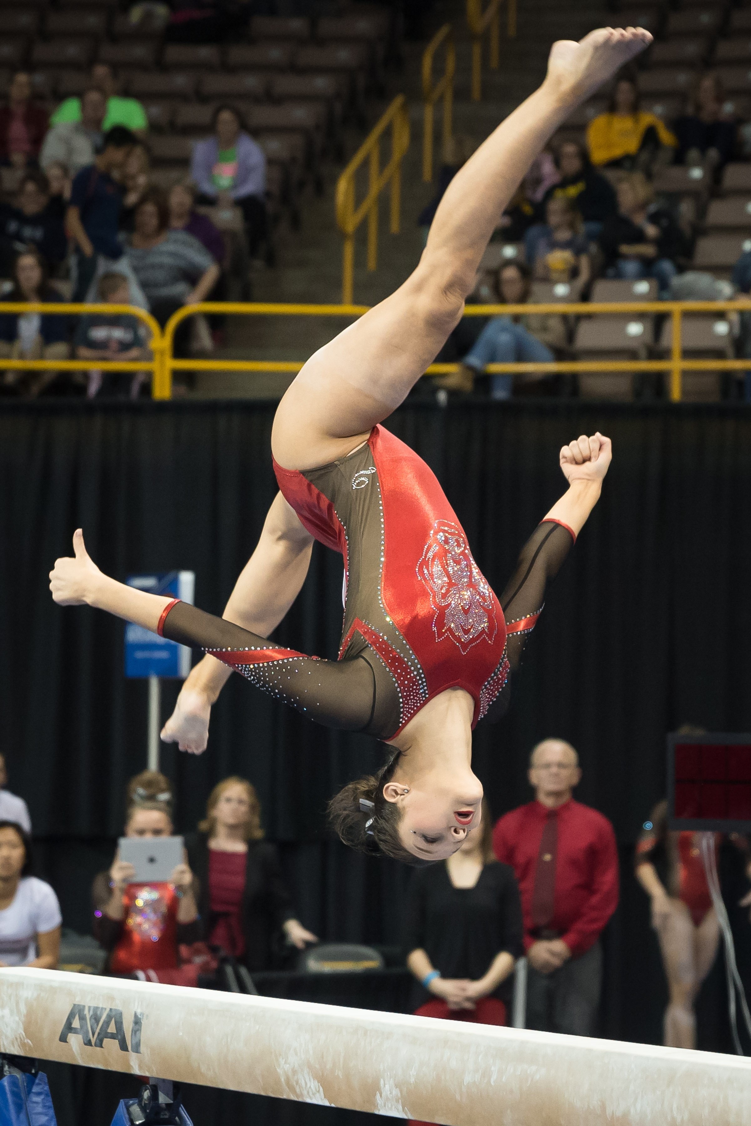 2016 NCAA Gymnastics Regionals Arkansas Razorbacks