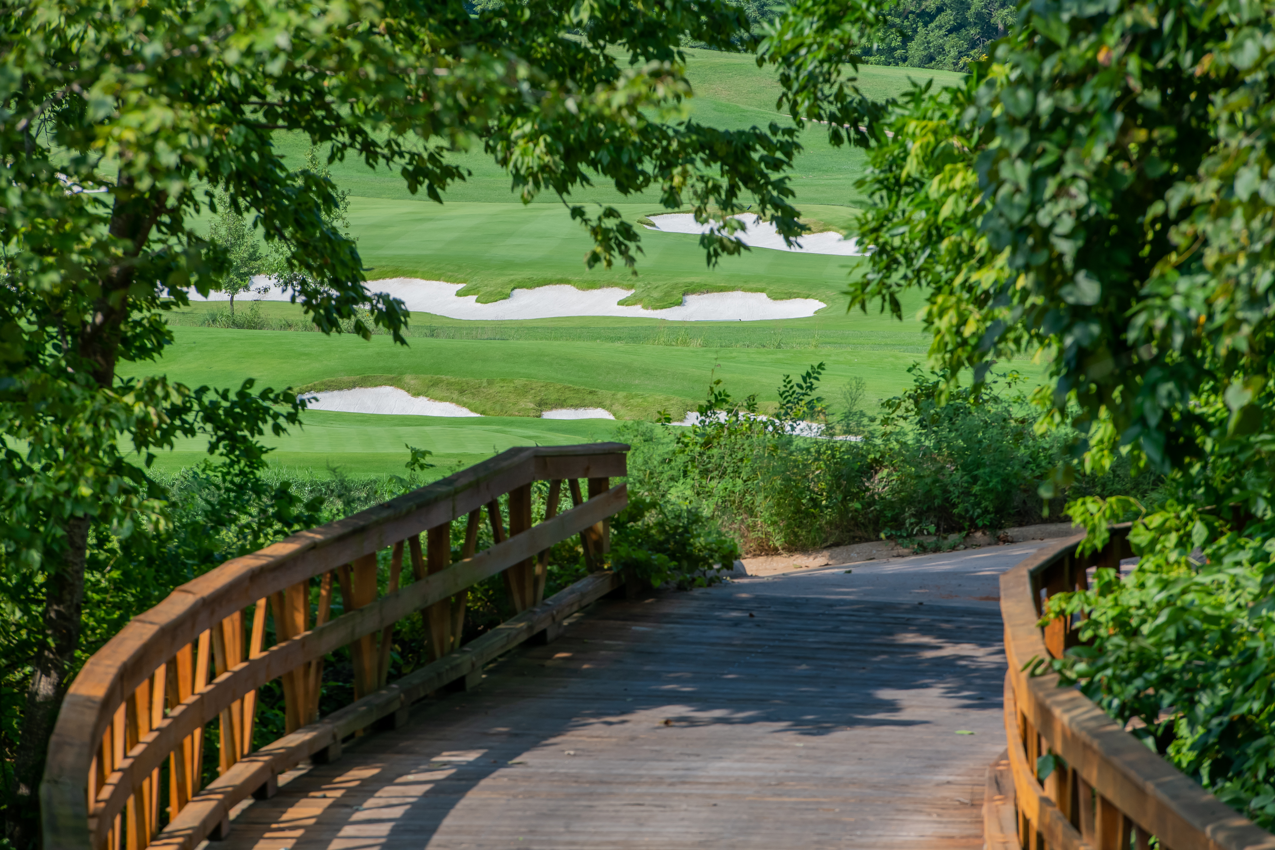 2019 NCAA Men’s And Women’s Golf National Championships Arkansas