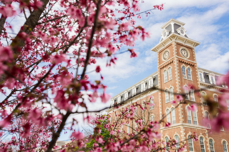 Razorbacks Set Records for Multi-Year and Single-Year Rates on APR Report Card - Vimarsana News