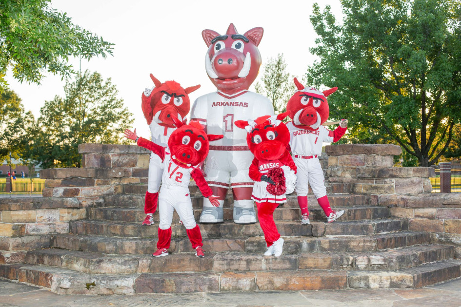 Spirit Squads Arkansas Razorbacks