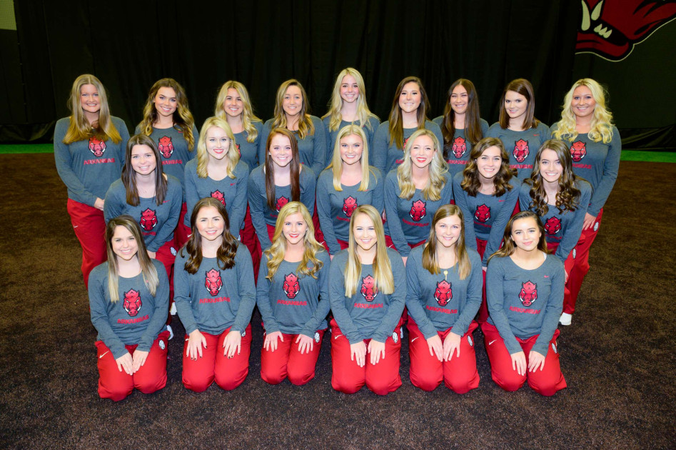 Diamond Doll Applications Now Being Accepted For 2024 Season BVM Sports