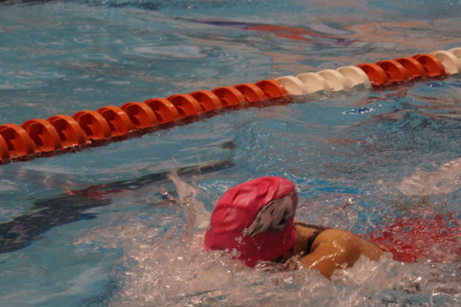 Razorbacks Put on an Personal Best Show In Day Two - Vimarsana News