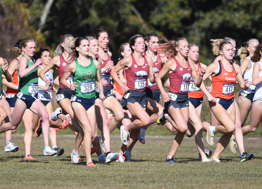 Arkansas places eighth in NCAA Championships with pair of All-Americans - Vimarsana News