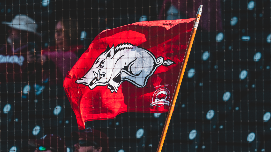 Hogs Host Mavericks in First Midweek Game at Baum-Walker Stadium - Vimarsana News