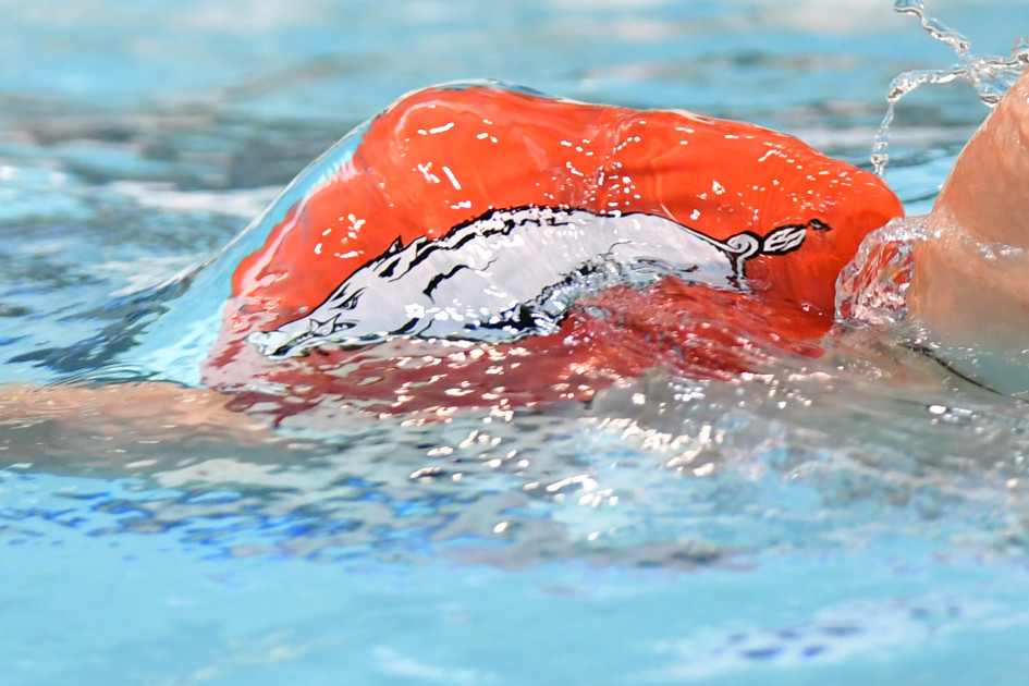 Razorbacks Pick Up Win in Little Rock - Vimarsana News