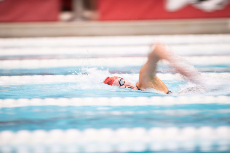 Razorbacks head to College Station for the SEC Championship - Vimarsana News