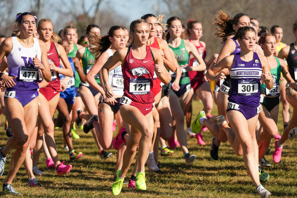 Razorbacks 9th in NCAA Championships, Thorvaldson earns All-America honor - Vimarsana News