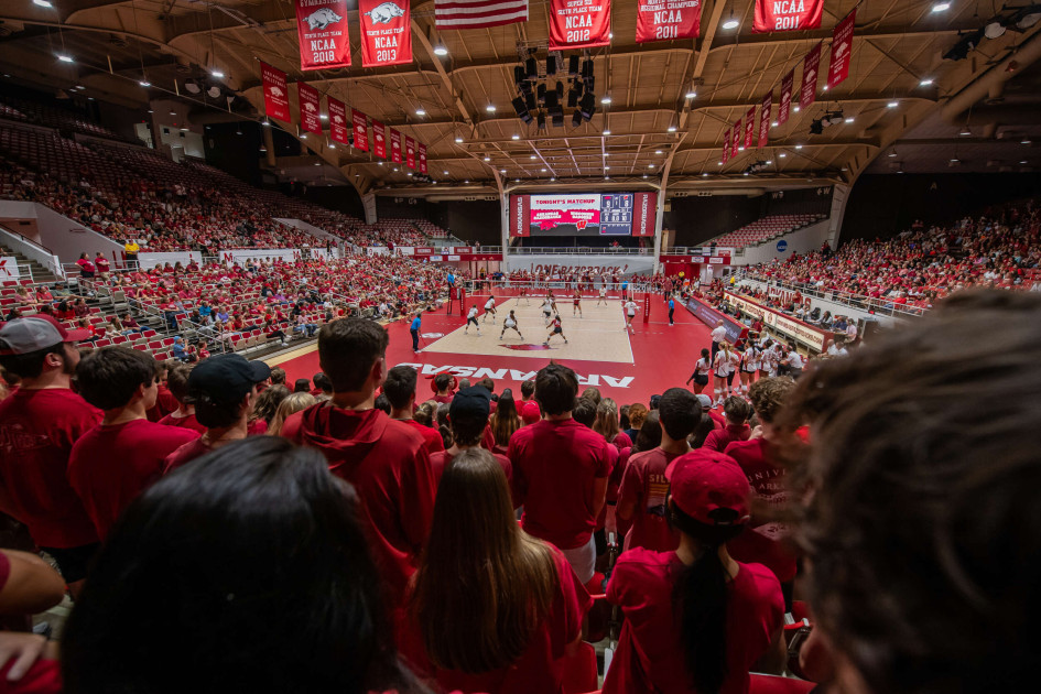 Razorbacks Get 3-Seed, Will Host First and Second Rounds - Vimarsana News