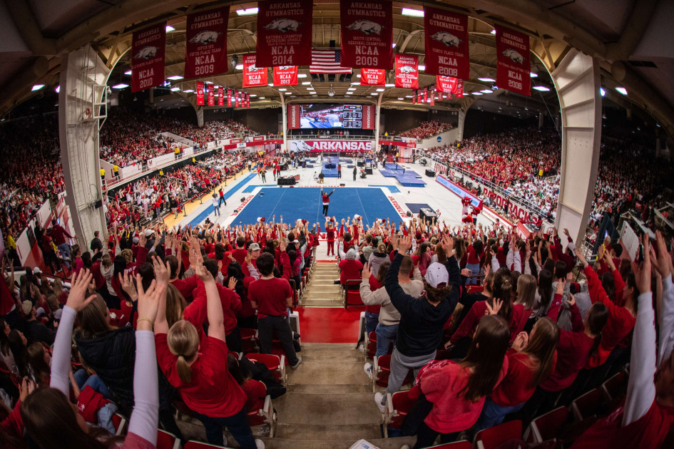 Gymbacks Open Season with Bulldogs at Barnhill - Vimarsana News