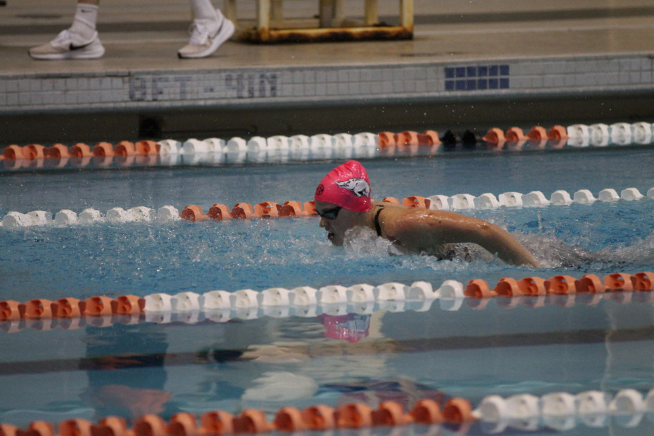 Where to Watch SEC Swimming and Diving Championships - Vimarsana News