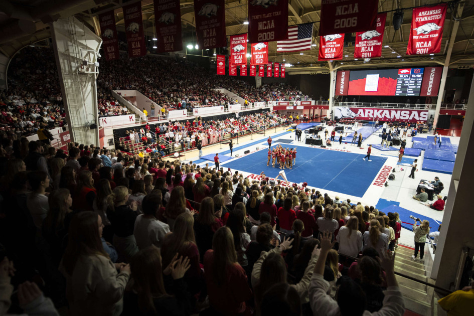 Wildcats Up Next for Razorbacks on Equality Night - Vimarsana News