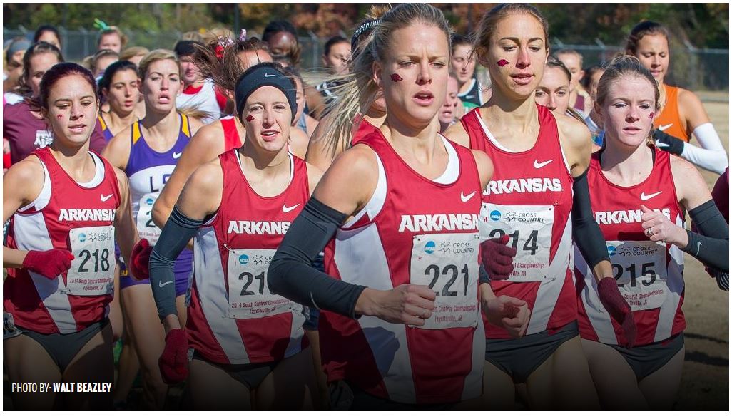 No 4 Womens Razorbacktf Seeks Programs First Ncaa Cross Country Title Arkansas Razorbacks 3555