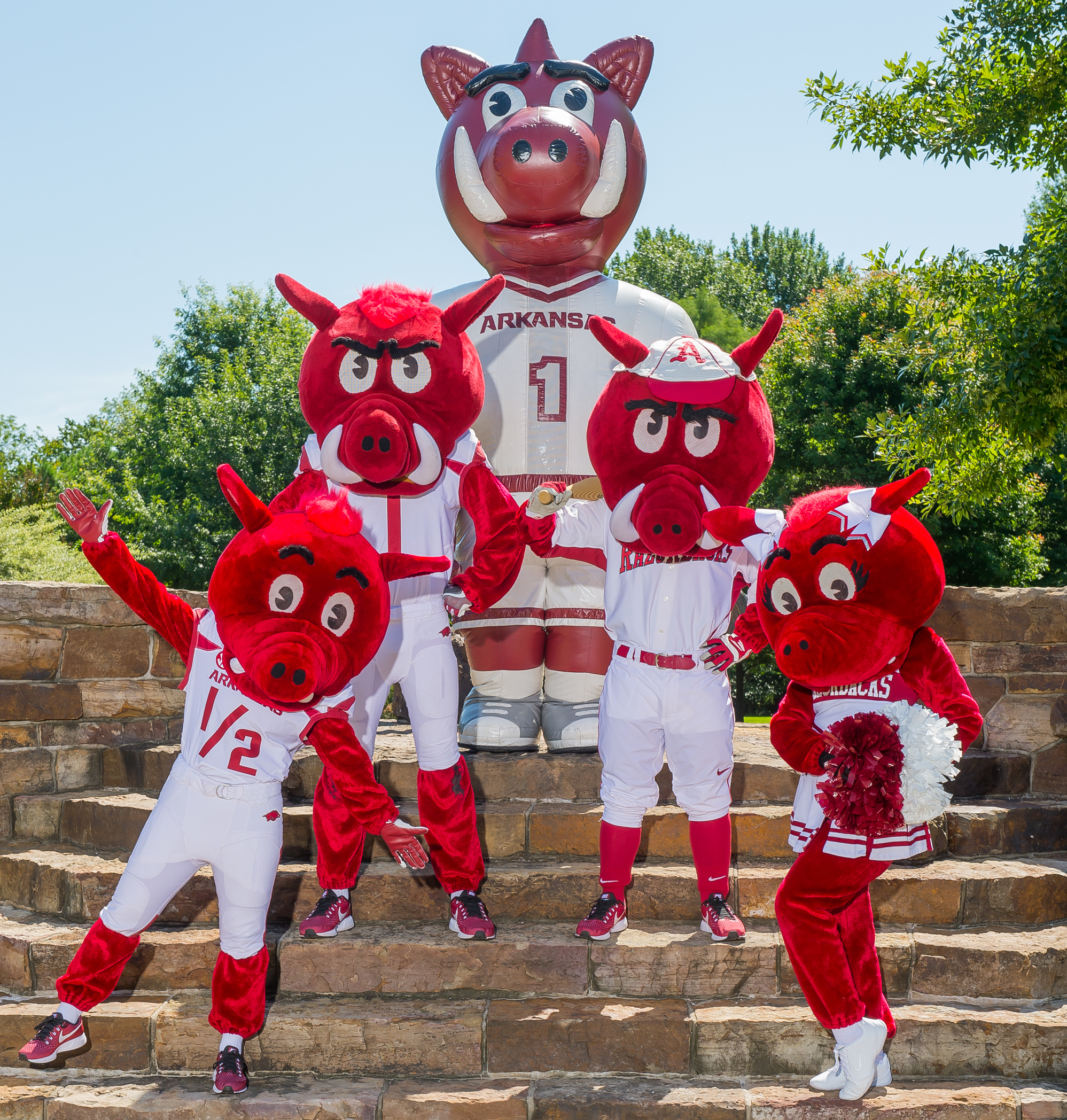 Spirit Squads Arkansas Razorbacks   Mascots 2017 