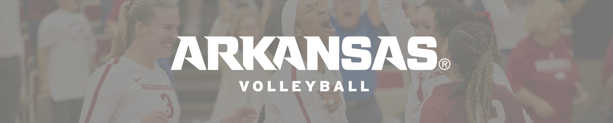 Volleyball | Arkansas Razorbacks