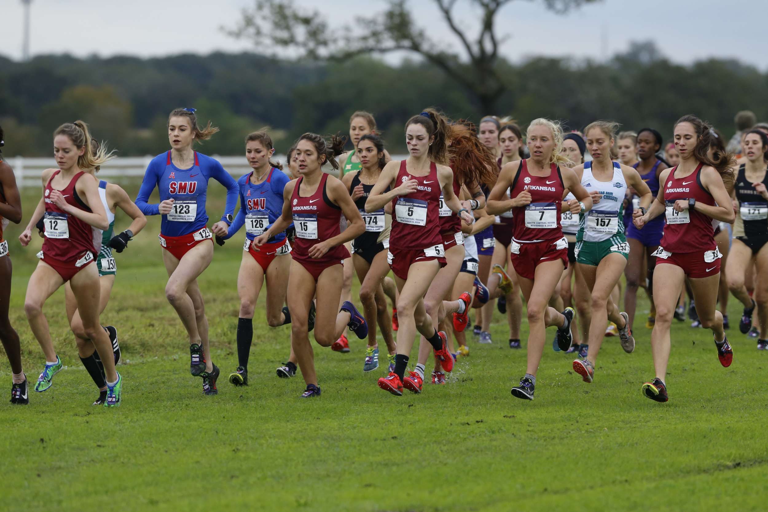 Arkansas Captures EighthStraight Regional Title Arkansas Razorbacks