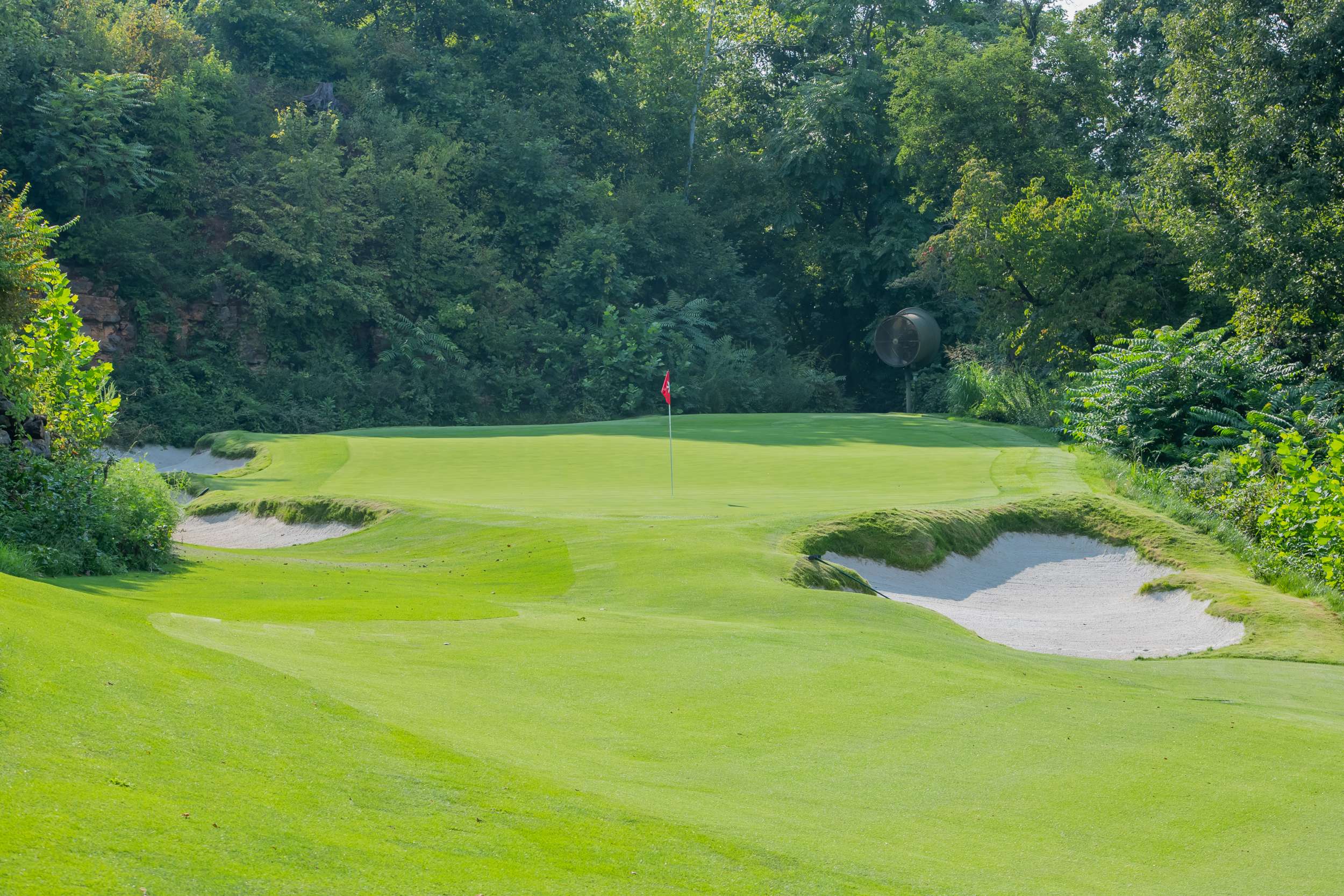 2019 NCAA Men’s And Women’s Golf National Championships Arkansas