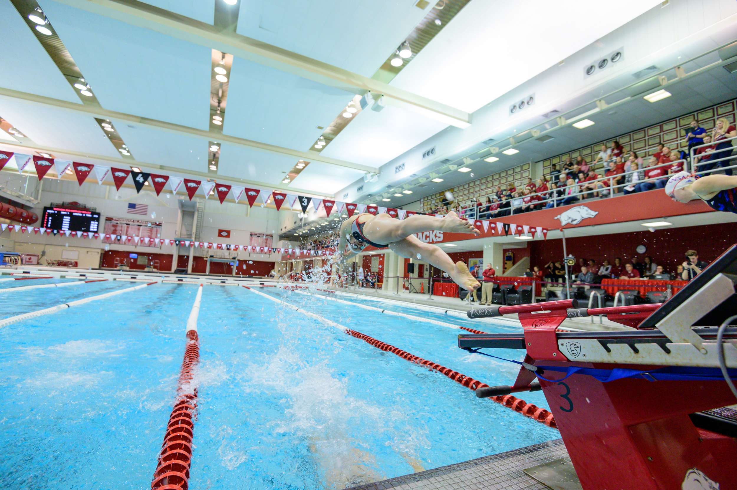 1,221 Swimmers & Divers Named as CSCAA First Team Scholar All-Americans