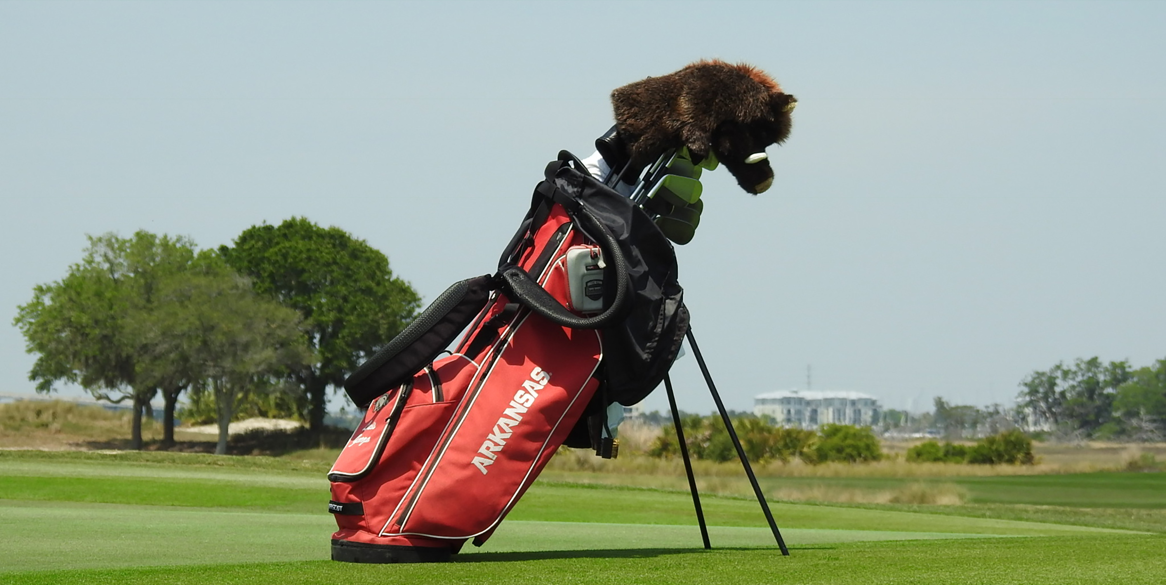 New golf bags in - The University of Louisville Golf Club