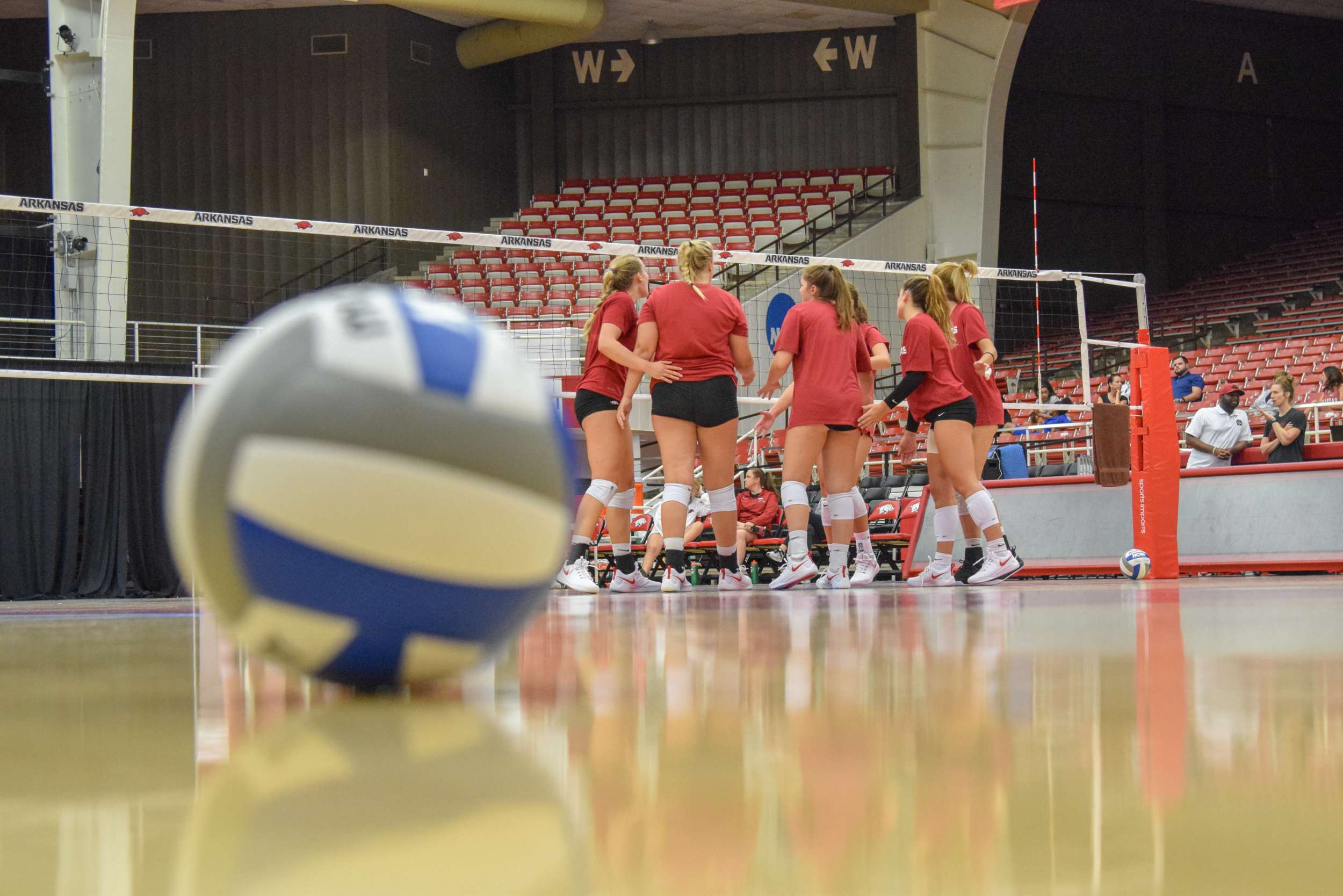 Season Opener on the Horizon for Razorback Volleyball Arkansas Razorbacks