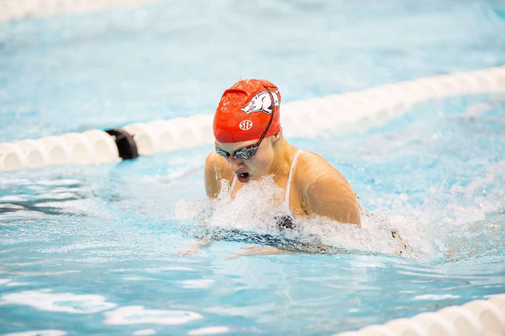 Swimming And Diving Arkansas Razorbacks