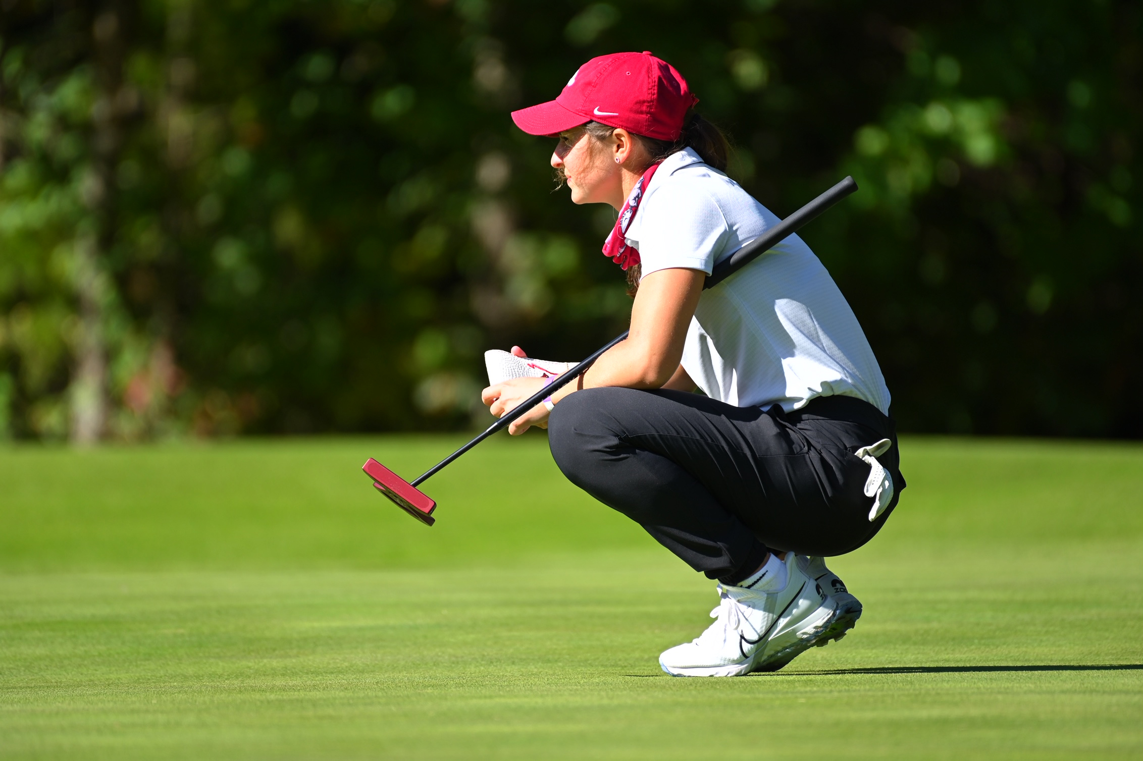 Arkansas Womens Golf Heads to The Ally Arkansas Razorbacks image