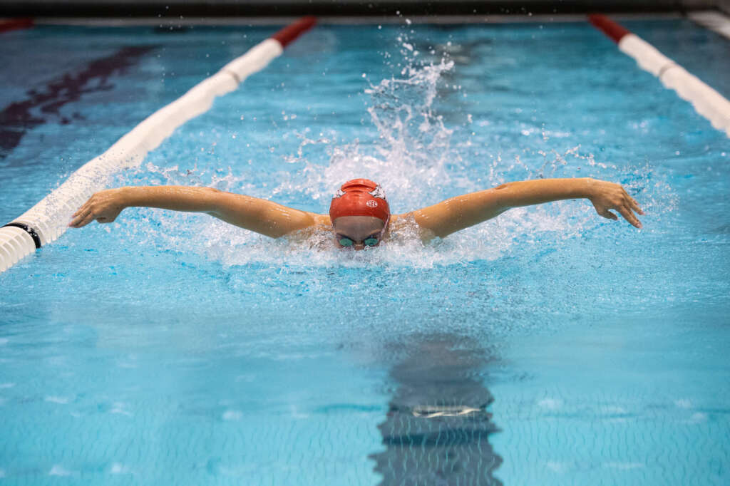 Swimming And Diving Arkansas Razorbacks 4852