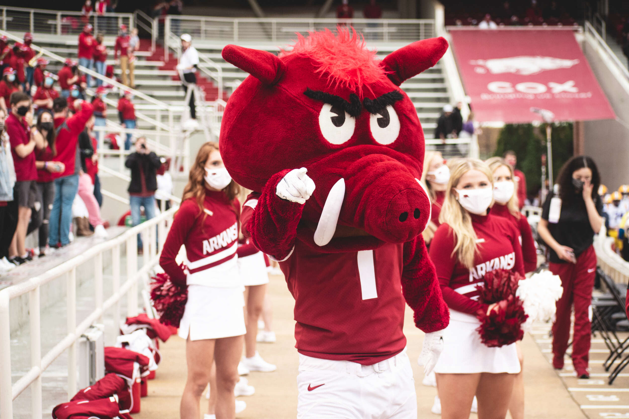 Razorback Mascot Team Selected for ’21-’22 Season | Arkansas Razorbacks