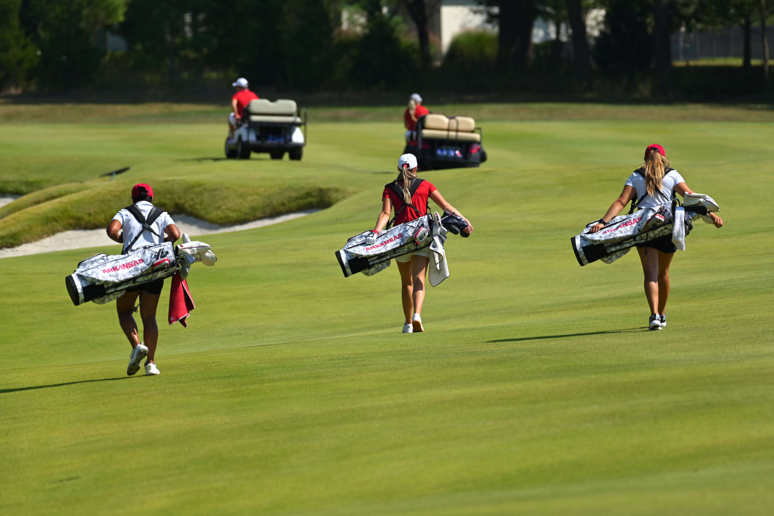 Louisville Cardinals Golf Fairway Stand Bag