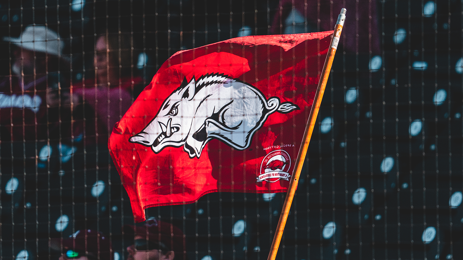 Arkansas Baseball: Hogs ready for first road test of season at Round Rock  Classic