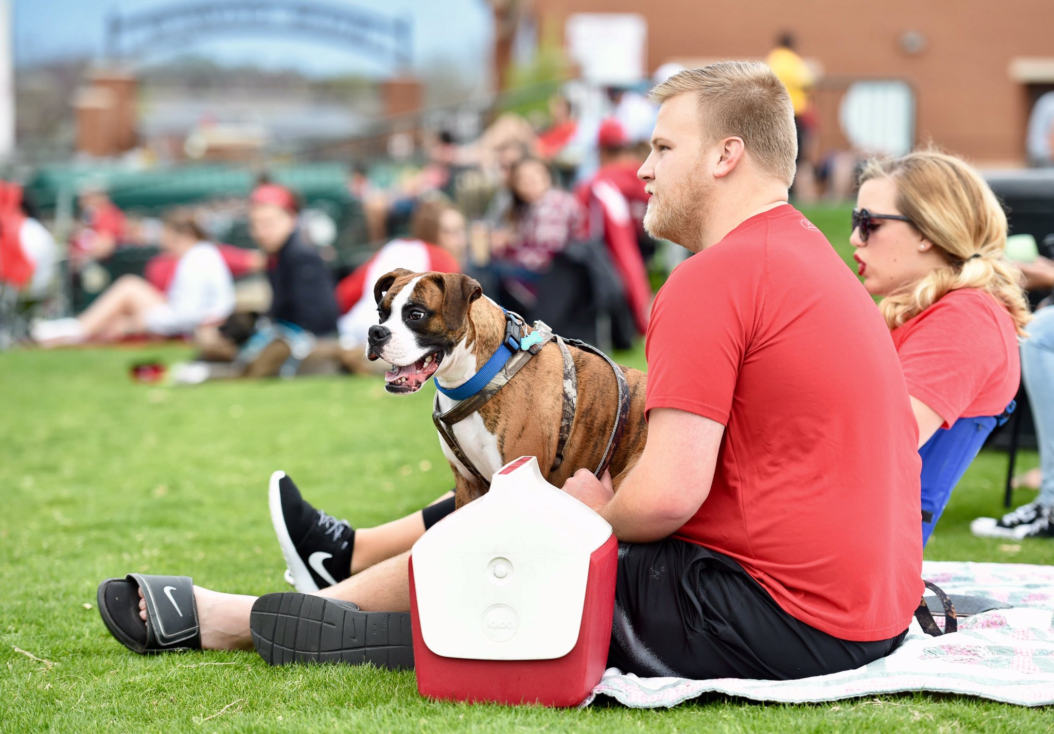 Tigers host Bark in the Park