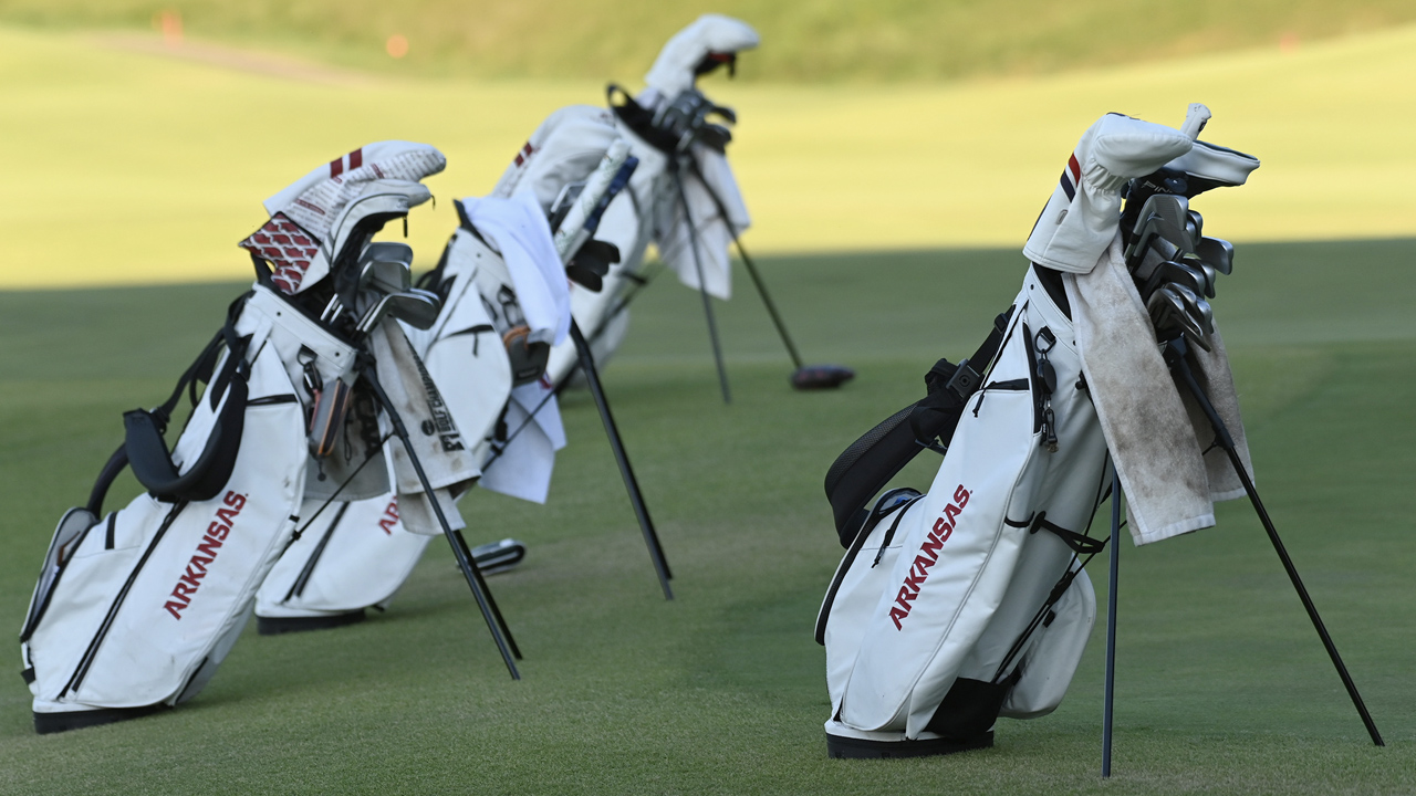 Louisville Cardinals Birdie Stand Golf Bag