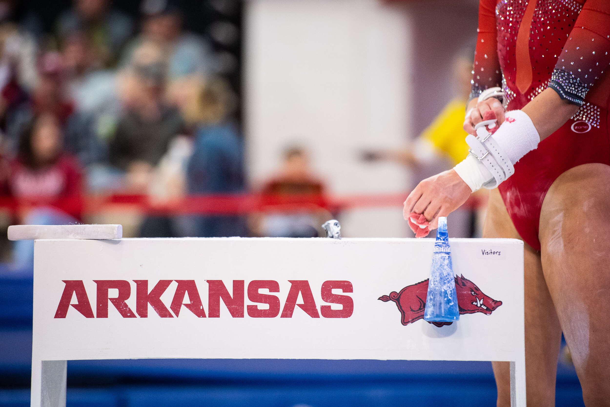 Single and Season Tickets Available for 2023 Gymnastics Meets