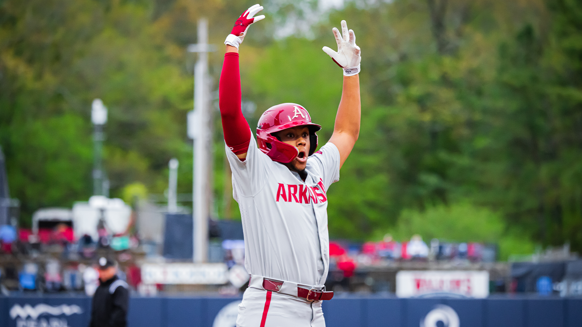 Diamond Rebels drop game three and the series to No. 5 Arkansas - The Rebel  Walk