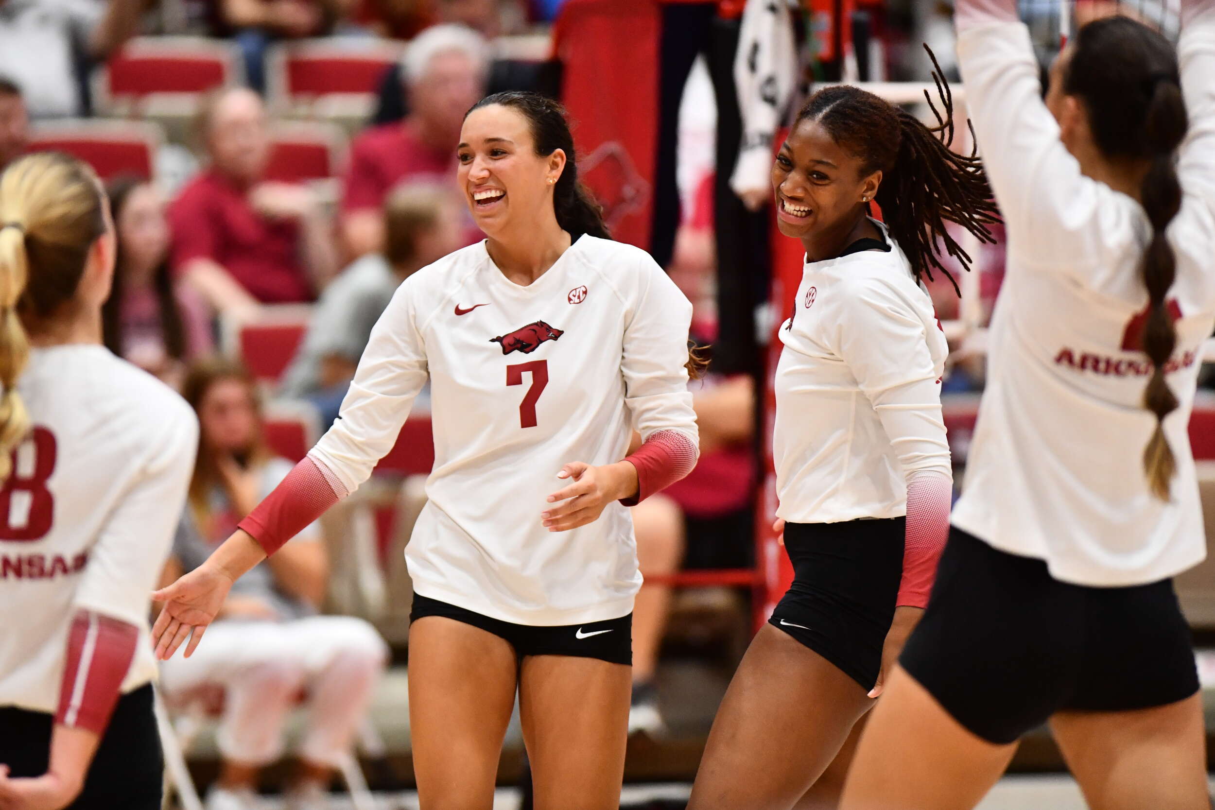 South Carolina gets swept by Ole Miss