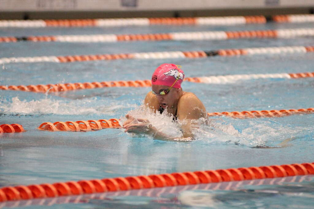 Swimming And Diving Arkansas Razorbacks