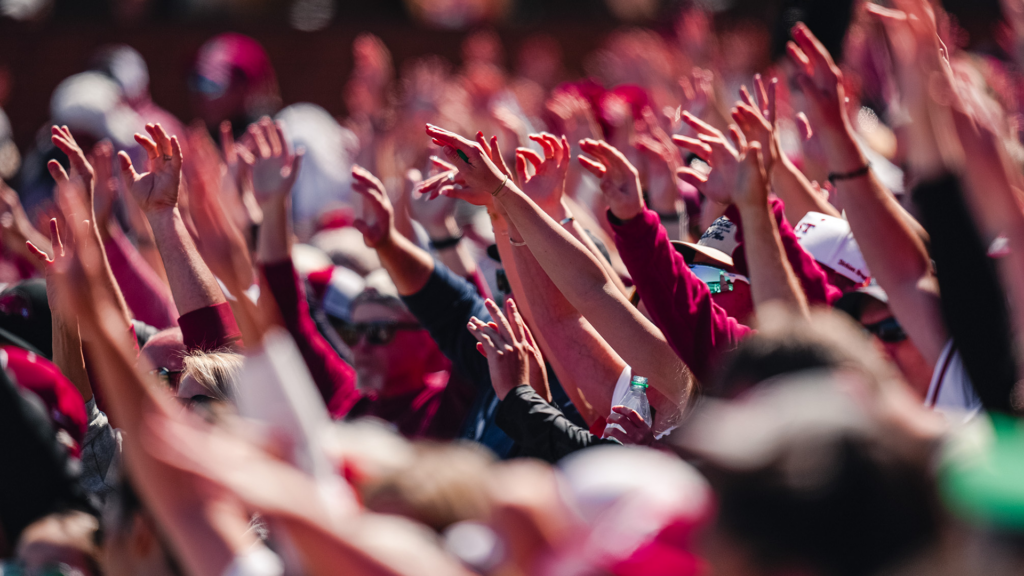 Razorback Report: Week 7