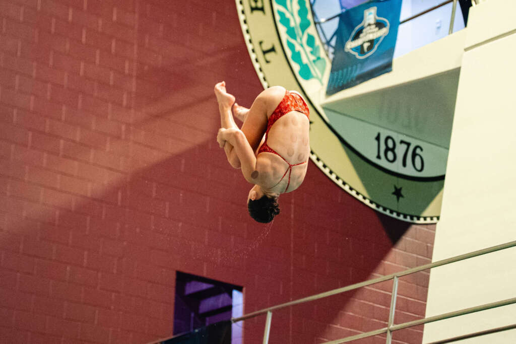 Hogs Wrap Up Second Day of Zones, Earn Two More NCAA Bids