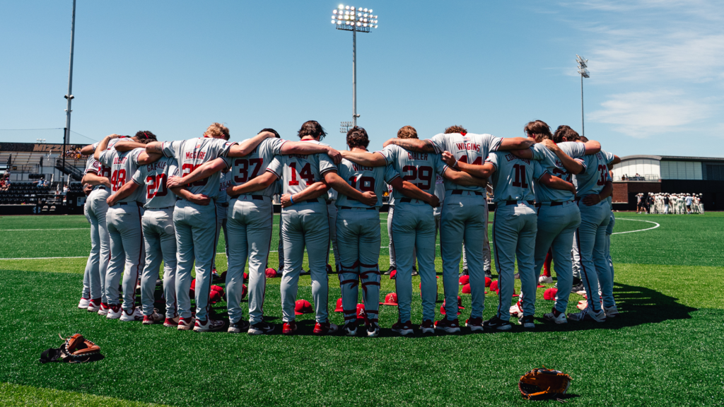 Hogs Lose to Tigers in Finale