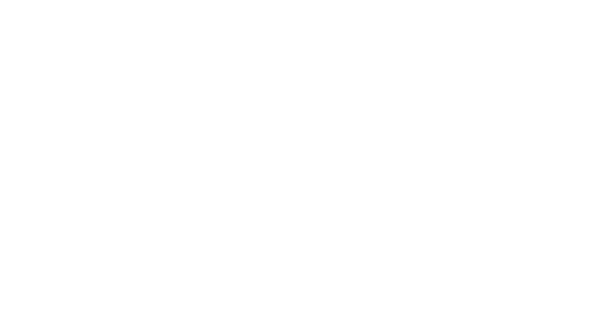 Sponsor
