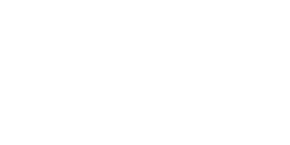 Sponsor