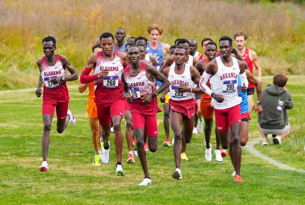 No. 7 Razorbacks finish runner-up at SEC Championships